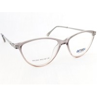Medium Size Cateye Transparent Grey Frame