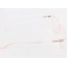 Medium Size Cat Eye Transparent Pink Frame